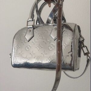 Louis Vuitton Silver Speedy Bag